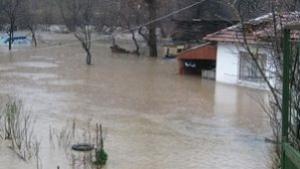 От харманлийското село Бисер Вълната дойде много бързо и с