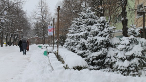 Дървена ваканция в Попово Омуртаг и Опака