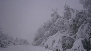 Обилен снеговалеж в цялата област