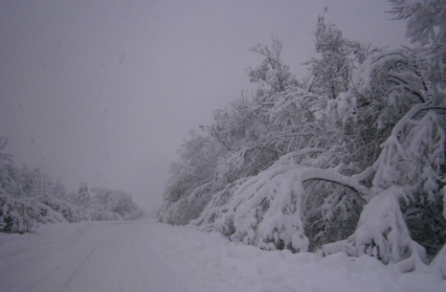 Обилен снеговалеж в цялата област