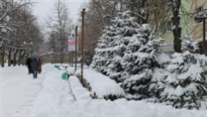 Принудителна ваканция и в Търговище