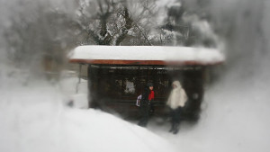 Извозват част от снега от столицата