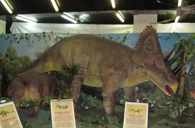 Динозаври се заселиха в Двореца на културата и спорта