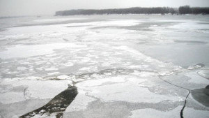 Послаб ледоход край Оряхово и Козлодуй