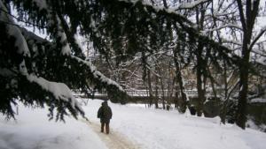 В Габрово минус 17 8 градуса