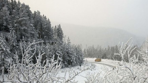 Студът взе жертва в с Игнатица
