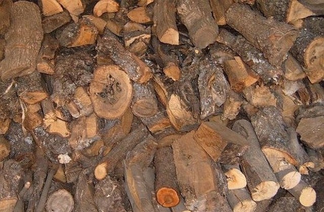 Свършиха дървата за огрев в Кюстендил