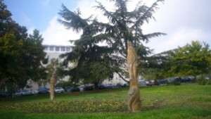 Габровски художник с изложба в Стара Загора