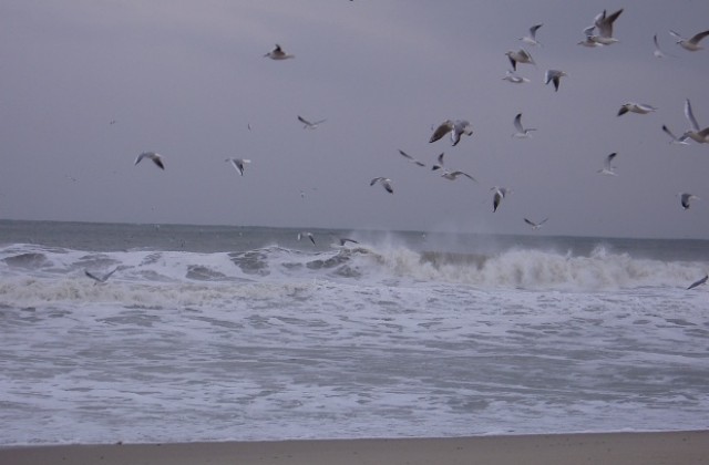 Разпознаха трупа, изплувал тази сутрин на плажа