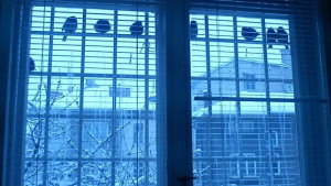 Температурите сутринта пак ще паднат до 20 градуса