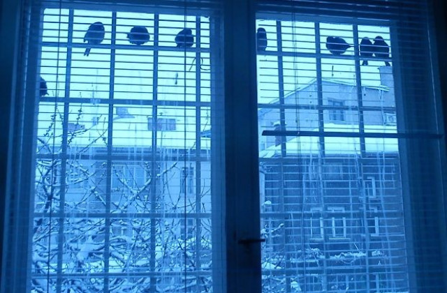 Температурите сутринта пак ще паднат до -20 градуса