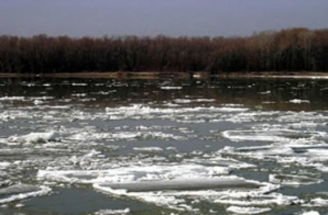 Четири живота взе зимата в Ломско