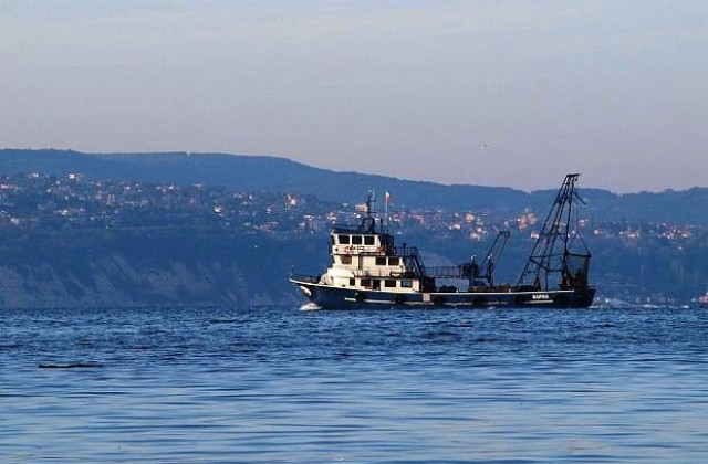 Има опасност калканът да изчезне от Черно море, предупреждават от Грийнпийс