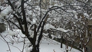 Възрастен мъж почина открили го в снега