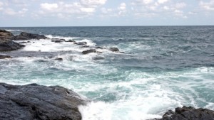 Осем години от гибелта на кораба Хера