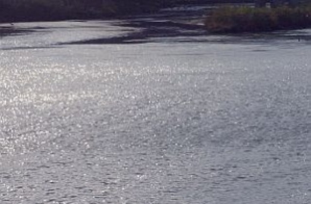 Река Джебелска залива незаконни кравеферми