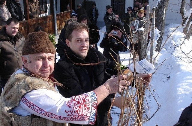 Великотърновският кмет заряза лозето в Килифарево