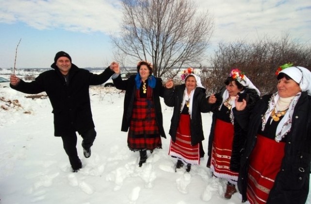 В преспи до кръста зарязаха лозарите в Силистренския край