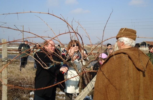 В Стралджа зарязаха лозята, почетоха Трифон Зарезан