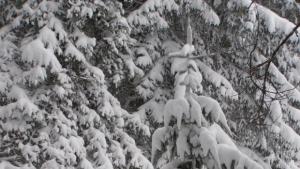 Метал тур представя за пръв път на пазара нова туристическа