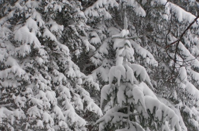 Метал тур представя за пръв път на пазара нова туристическа услуга