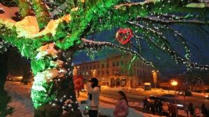 Велико Търново си има дърво на желанията