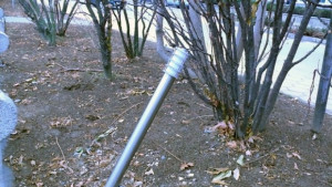 Откраднаха енергоспeстяващи крушки от парковото осветление на Аврам Гачев