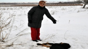 Жена се оплака Убиха жестоко любимото ми куче