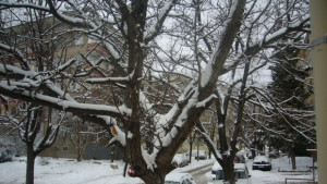 Проверяват автобусните спирки в Казанлък