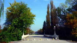 Благотворителна дискотека събира пари за парк Марица