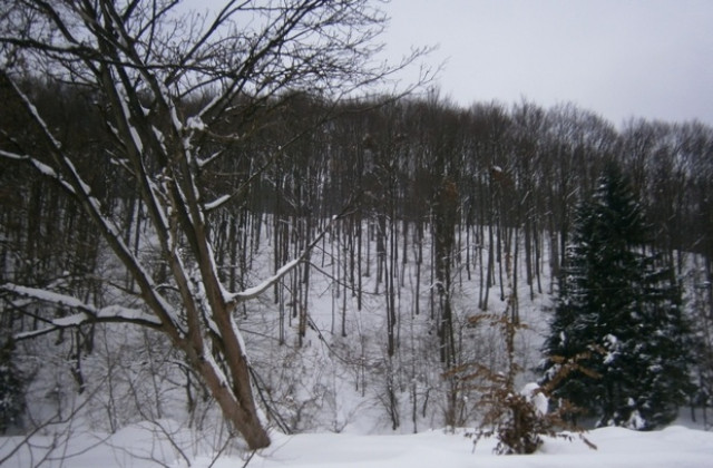 На места - мъгливо