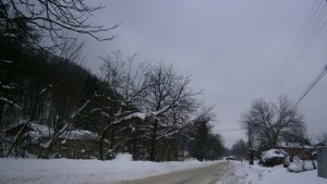 Проходимо при зимни условия