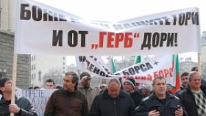 Протестираха срещу продажбата на дървен материал през стоковата борса