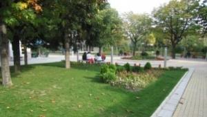 Пет общини готвят проект Долината на розата и траките