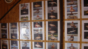 Огромни риби плуват в язовир Гостилица тук е хвърлял въдица