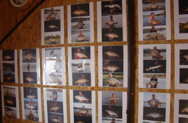 Огромни риби плуват в язовир Гостилица, тук е хвърлял въдица и Ерик Хонекер