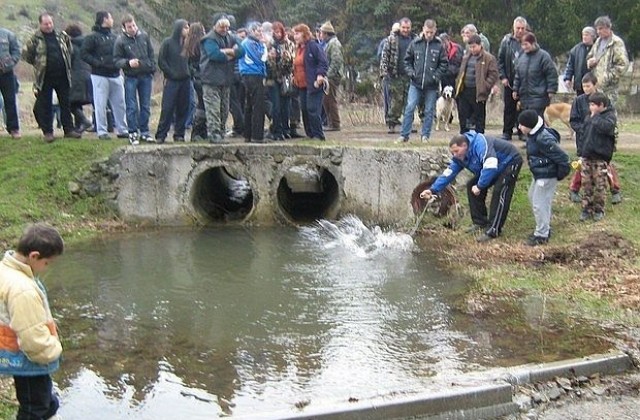 В село Бродилово замениха тричането на кучета с потапяне във водата