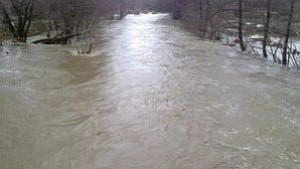 Областният управител разпореди активно наблюдение на рЯнтра в общините Бяла