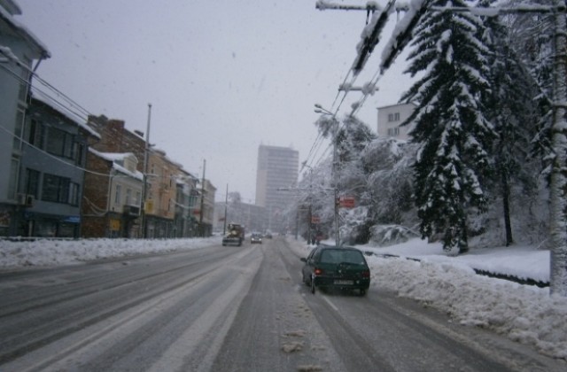 Днес 14 пътни инцидента и 8 души с фрактури