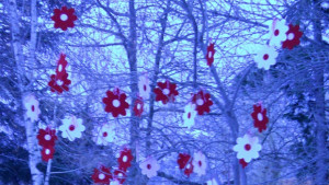 Дърво с мартеници изненада врачани