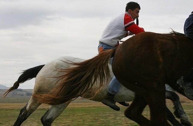 40 коня мерят сили във „Виница” на Тодоровден