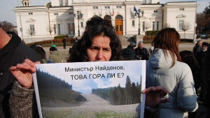 Протест срещу готвени промени в Закона за горите