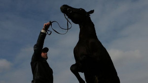 Празнуваме Тодоровден
