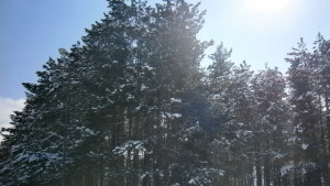 Променлива облачност