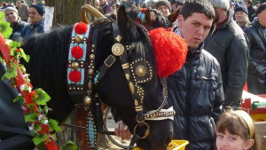 Тодоровден в Ямбол