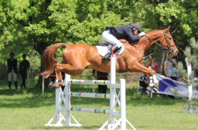 Дами отвяха конкуренцията в конна надпревара във Виница
