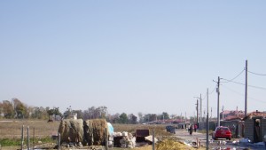 Обявиха кмета на Аспарухово за циганин 1 на Варна