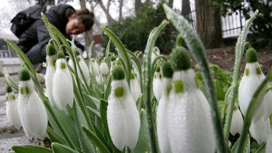 8 март Ден на жената