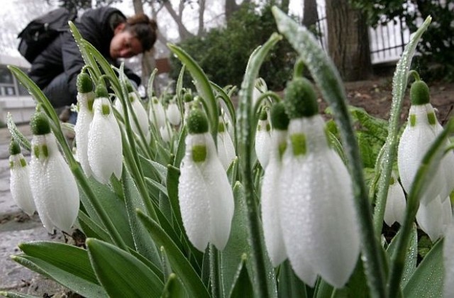 8 март - Ден на жената