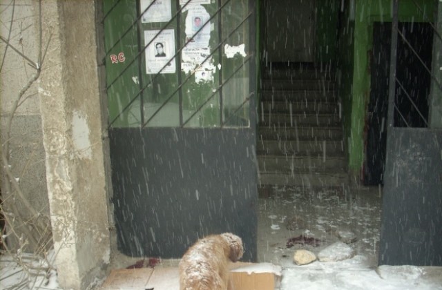 Полицията зове за помощ, за да разкрие убийството в Дупница